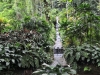botanic garden, Rio de Janeiro